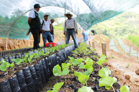Living Green in Baja Sur: Sustainable Living and Eco-Friendly Initiatives