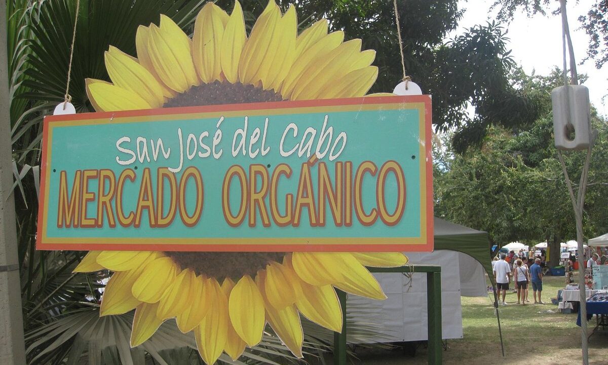 Los Cabos Organic Farmers Markets: Fresh Flavors & Sustainable Delights
