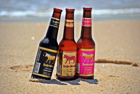 Discover Micro Breweries In Cabo And Baja Sur